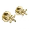 JTP Solex Brushed Brass Wall Mounted Side Valves (Pair) 1 JTP Solex Brushed Brass Wall Mounted Side Valves (Pair) -LuxTaps Store 66089BBR P
