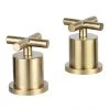 JTP Solex Brushed Brass Deck Mounted Panel Valves (Pair) 1 JTP Solex Brushed Brass Deck Mounted Panel Valves (Pair) -LuxTaps Store 66809BBR P